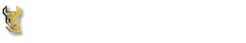 Viking Info Tech